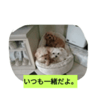 わんこ の つぶやき（個別スタンプ：4）