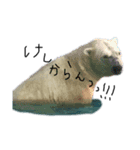 まみの動物園記録（個別スタンプ：5）