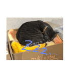 かんちゃんと、ずっくん。vol.6（個別スタンプ：1）