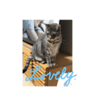 かんちゃんと、ずっくん。vol.6（個別スタンプ：6）