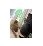 かんちゃんと、ずっくん。vol.6（個別スタンプ：10）