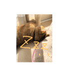 かんちゃんと、ずっくん。vol.6（個別スタンプ：15）