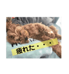 虹男だよ（個別スタンプ：3）