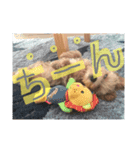 虹男だよ（個別スタンプ：5）