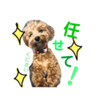 虹男だよ（個別スタンプ：8）