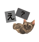 もずく その1（個別スタンプ：2）