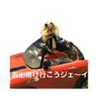 ミニチュアダックスフンドのジェイ君（個別スタンプ：7）