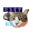 ももと社長の日常スタンプ（個別スタンプ：2）