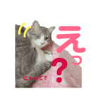 ももと社長の日常スタンプ（個別スタンプ：8）