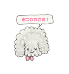 シルバートイプードルのメルシーちゃん（個別スタンプ：12）