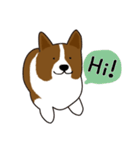 コーギー犬のロンくん(英語)（個別スタンプ：2）