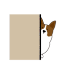 コーギー犬のロンくん(英語)（個別スタンプ：29）