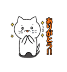 ピンポンにゃんこ（個別スタンプ：8）
