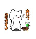 ピンポンにゃんこ（個別スタンプ：9）