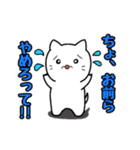 ピンポンにゃんこ（個別スタンプ：24）