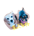 maron＆koyuki（個別スタンプ：8）