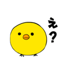 日常会話のできるひよこ（個別スタンプ：1）