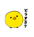 日常会話のできるひよこ（個別スタンプ：14）