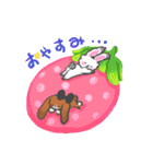 たれみみちゃん と アンゴラくん（個別スタンプ：2）