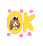 たれみみちゃん と アンゴラくん（個別スタンプ：4）