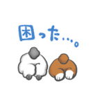 たれみみちゃん と アンゴラくん（個別スタンプ：30）