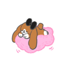 たれみみちゃん と アンゴラくん（個別スタンプ：36）