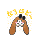 たれみみちゃん と アンゴラくん（個別スタンプ：37）