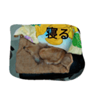 ティアラスタンプ1（個別スタンプ：4）