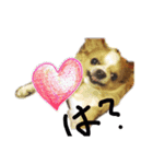 愛犬❤️（個別スタンプ：4）