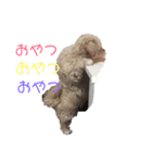 おふ丸スタンプ（個別スタンプ：3）