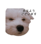 おふ丸スタンプ（個別スタンプ：6）