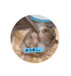 はむずの日常( ˙꒳​˙  )（個別スタンプ：2）