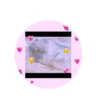 はむずの日常( ˙꒳​˙  )（個別スタンプ：6）