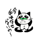 梅干しアゴのパンダ猫【パンダ猫ホイホイ】（個別スタンプ：30）