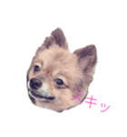 モカとガンちゃん（個別スタンプ：3）
