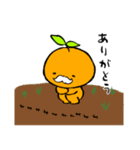 オレンジのトペ（個別スタンプ：10）
