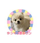 まるこはオリジナルスタンプ2（個別スタンプ：5）