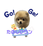 まるこはオリジナルスタンプ2（個別スタンプ：6）