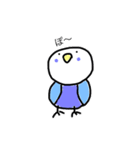 ゆるインコちゅぴちゃんとプルちゃんその2（個別スタンプ：2）