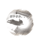 スケッチうさぎ（個別スタンプ：4）