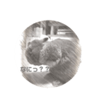 スケッチうさぎ（個別スタンプ：9）