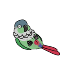 ウロコインコ（個別スタンプ：2）