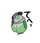 ウロコインコ（個別スタンプ：3）