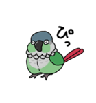 ウロコインコ（個別スタンプ：5）