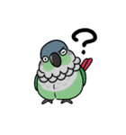 ウロコインコ（個別スタンプ：6）