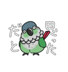 ウロコインコ（個別スタンプ：7）