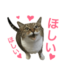 ルル猫（個別スタンプ：7）