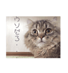 ペチュくんがオタクの代弁をしてくれます。（個別スタンプ：1）