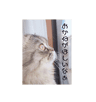 ペチュくんがオタクの代弁をしてくれます。（個別スタンプ：2）