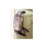 ペチュくんがオタクの代弁をしてくれます。（個別スタンプ：5）